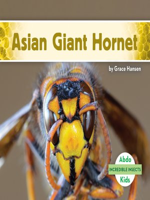 cover image of Asian Giant Hornet